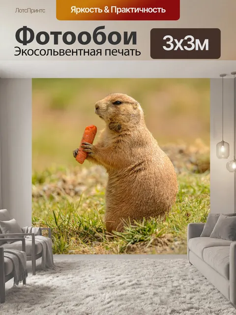 Фотообои Псун