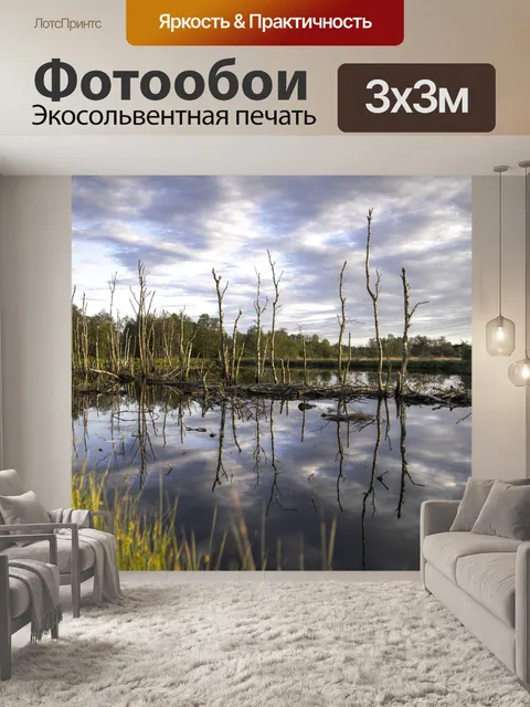 Фотообои Деревья