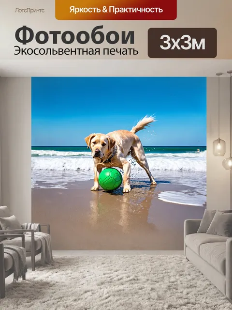 Фотообои лабрадор, играющий с мячом на пляже, его шерсть влажная от воды и сверкает на ярком солнце