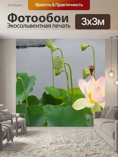 Фотообои Лотос