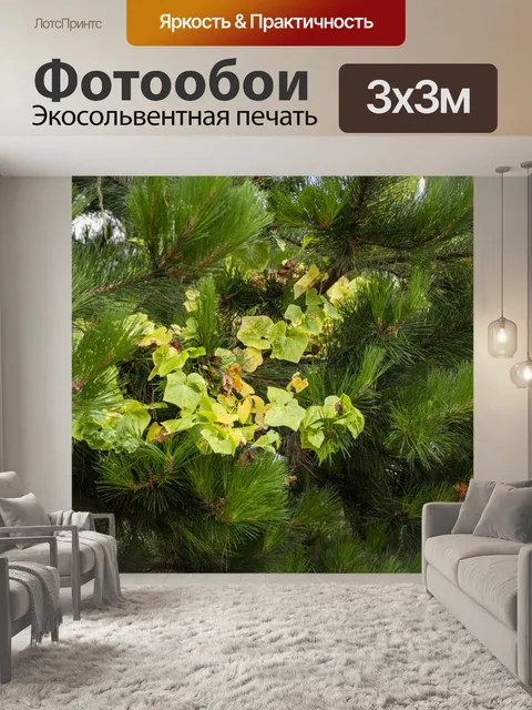 Фотообои Плющ и Сосна