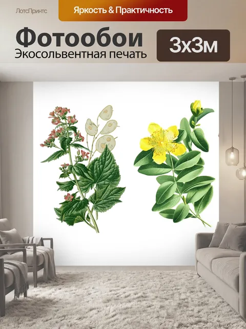 Фотообои Цветы