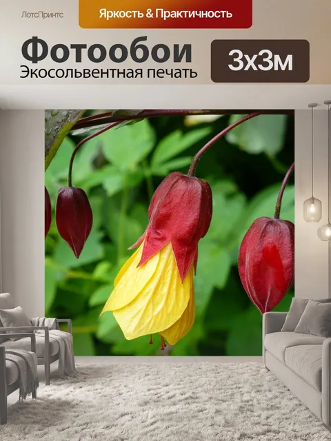 Фотообои Кустарник