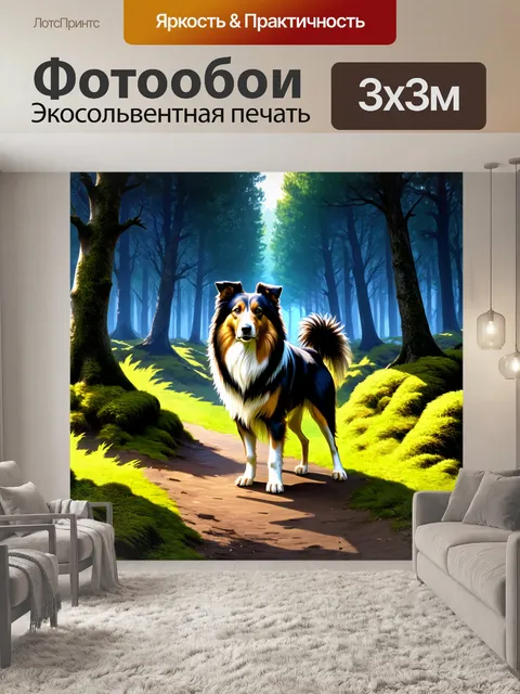 Фотообои в предзакатном лесу колли с настороженностью стоит на тропинке