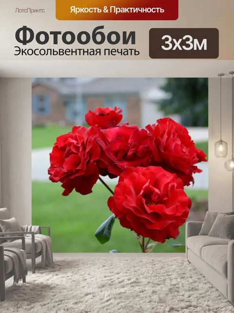 Фотообои Розы