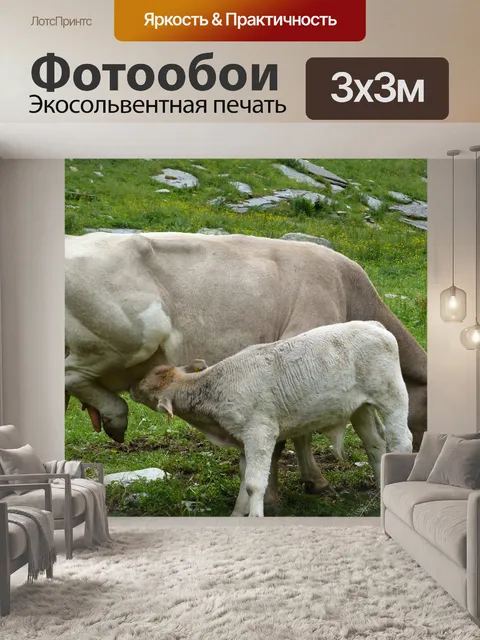 Фотообои Животное