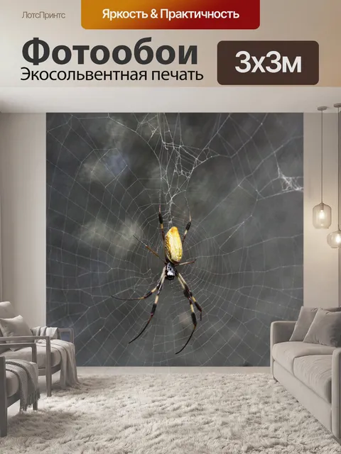 Фотообои Желтый и черный паук на веб-