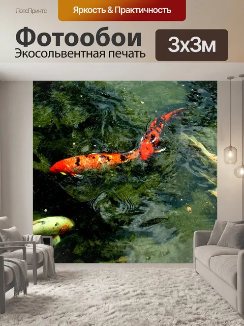 Фотообои Кои