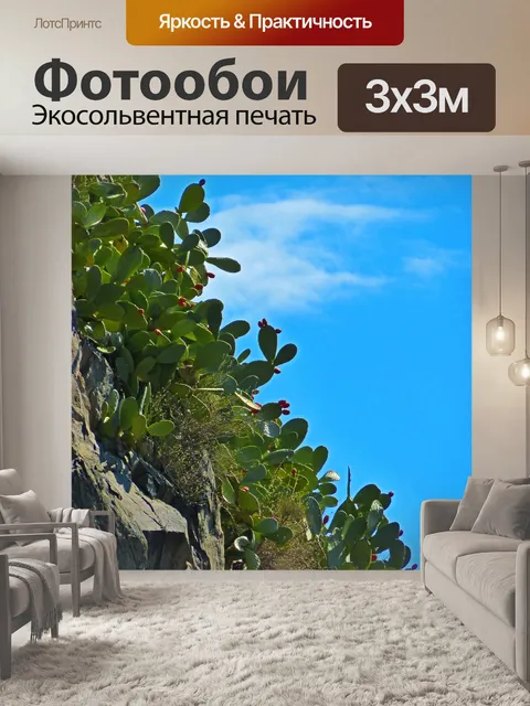 Фотообои Опунция