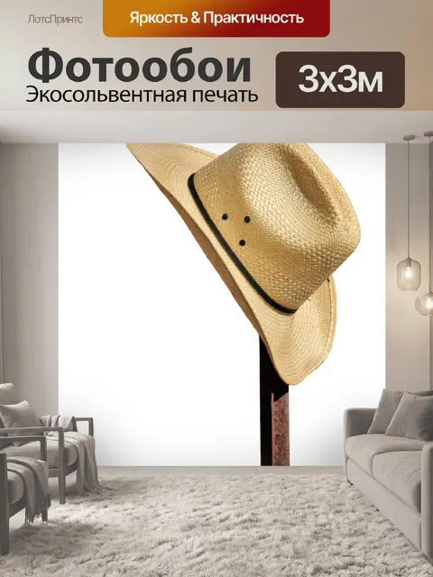 Фотообои Шляпа на Расти полюс