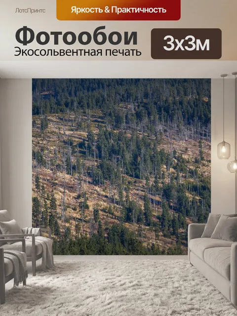Фотообои Вырубка леса
