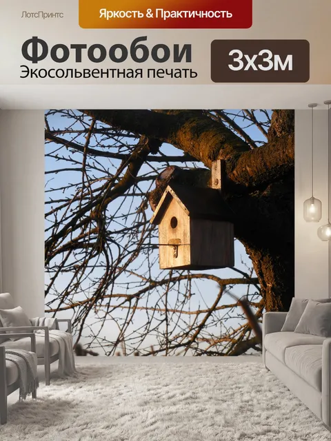 Фотообои Птичий домик