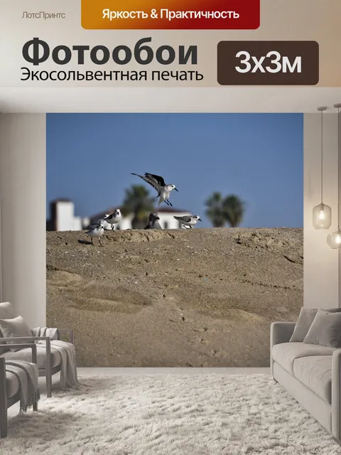 Фотообои Посадка птиц на пляже