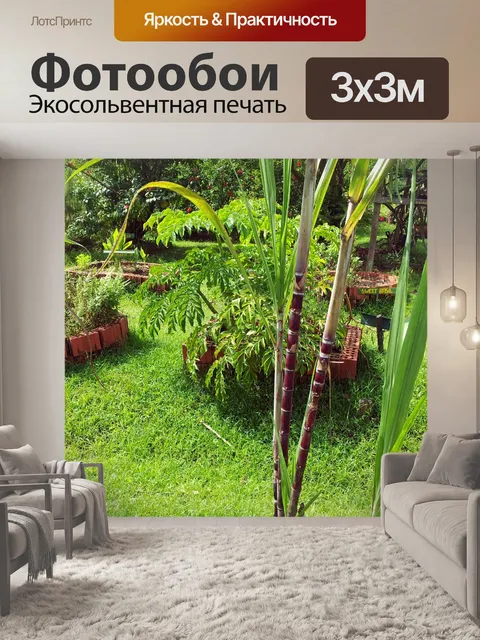 Фотообои Сахарный тростник растения