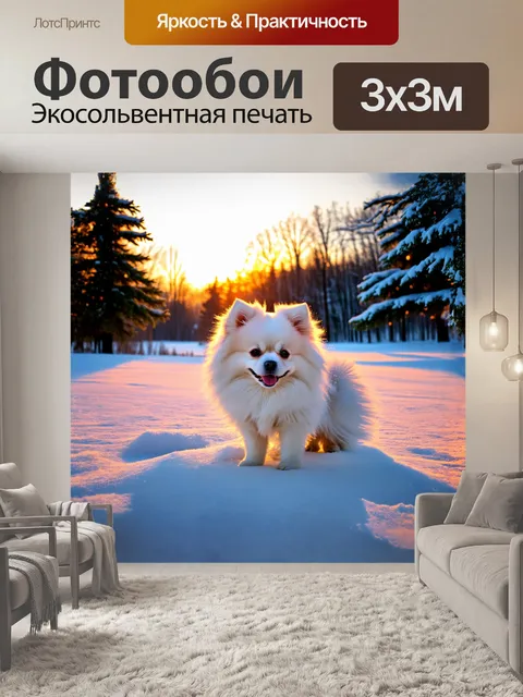 Фотообои в центре композиции находится белый померанский шпиц, его шерсть сверкает на солнце, как свежевыпавший снег