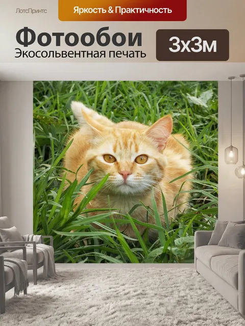 Фотообои Кошка