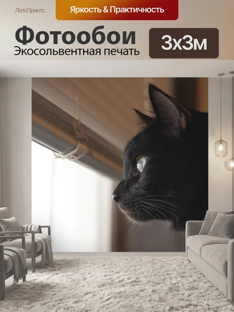 Фотообои Черный кот