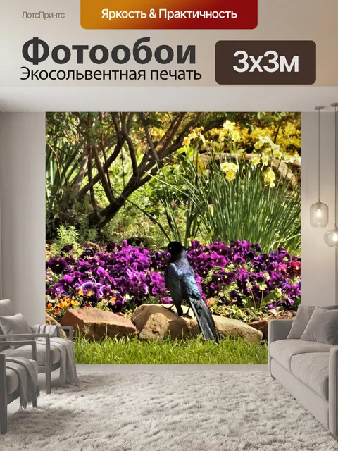 Фотообои Грац и петунии с большими хвостами
