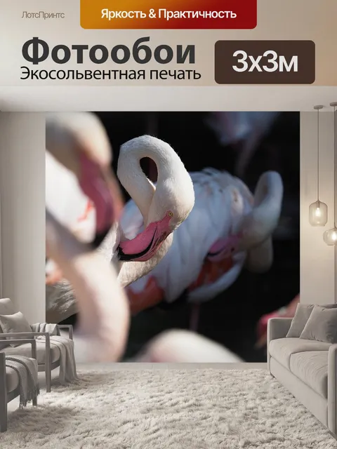 Фотообои Птица