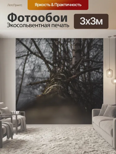 Фотообои Природа