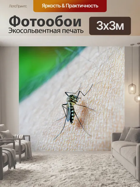 Фотообои Комар