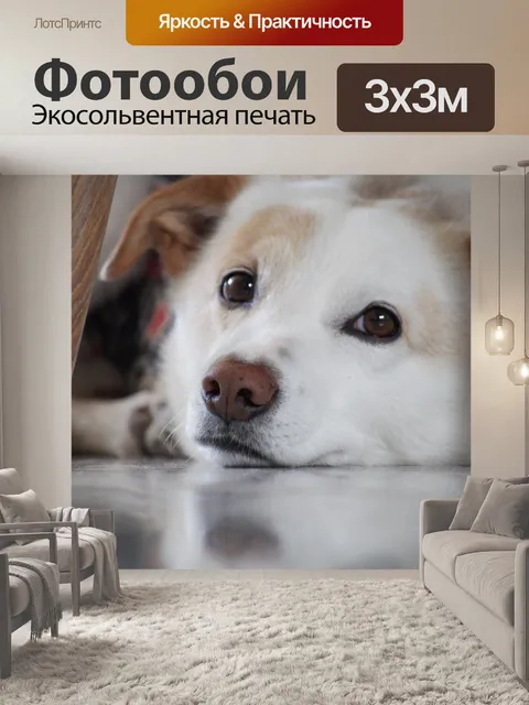 Фотообои Собака под столом