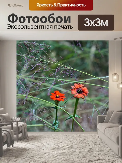 Фотообои Дикорастущие красные цветы циннии