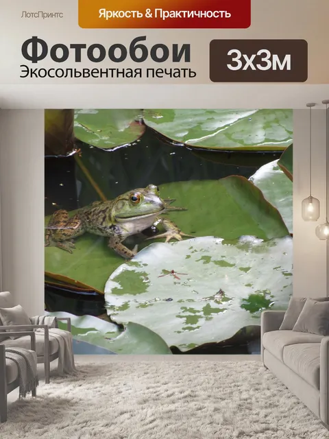 Фотообои Лягушка
