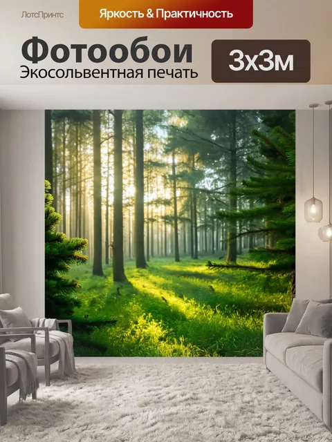 Фотообои утро: великолепное утро в сказочном лесу, где роса играет на зелёной листве, освещая сказочные ёлки