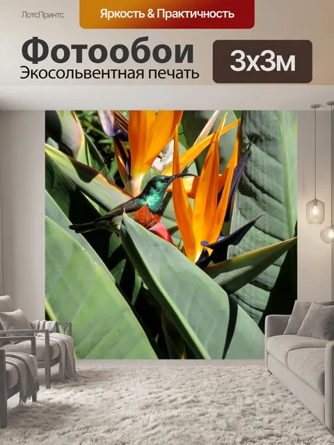 Фотообои Солнечная птица