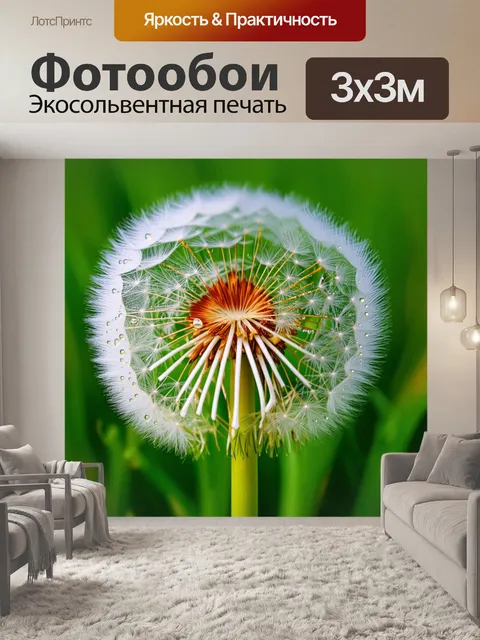 Фотообои одуванчик с капельками росы