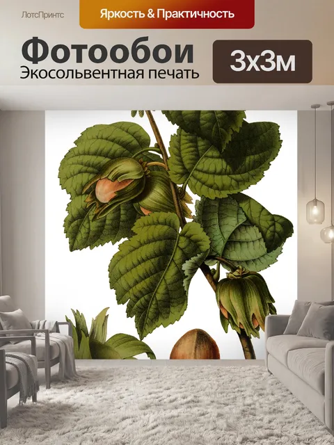 Фотообои Фундук Винтажное Искусство