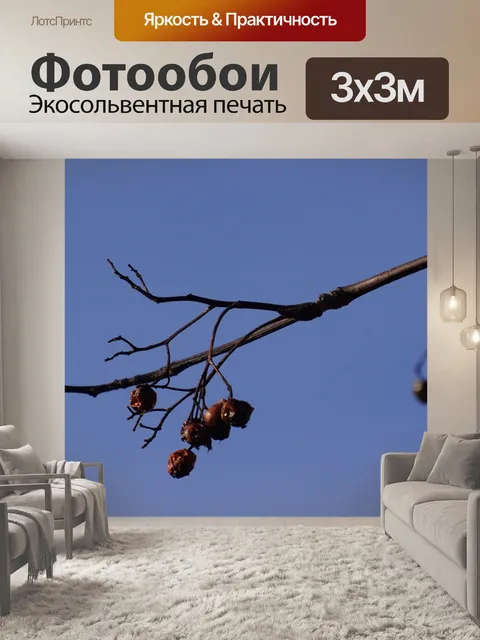 Фотообои Ветвь