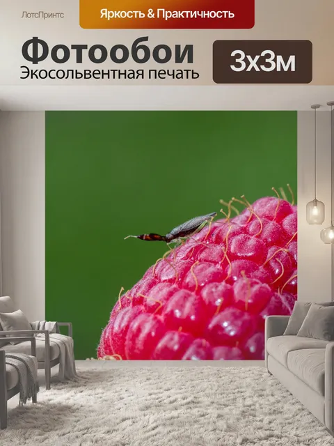 Фотообои Heterotoma