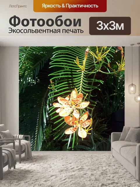 Фотообои цветок орхидеи 3