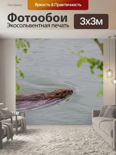 Фотообои Бобр