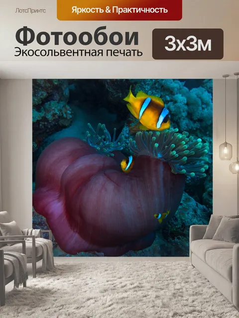 Фотообои Клоун рыба-клоун