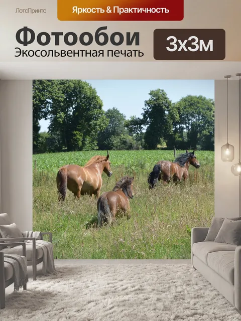 Фотообои Пони лошади, прерии