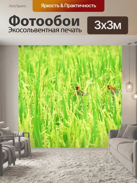 Фотообои Убуд