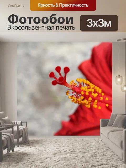 Фотообои Красный