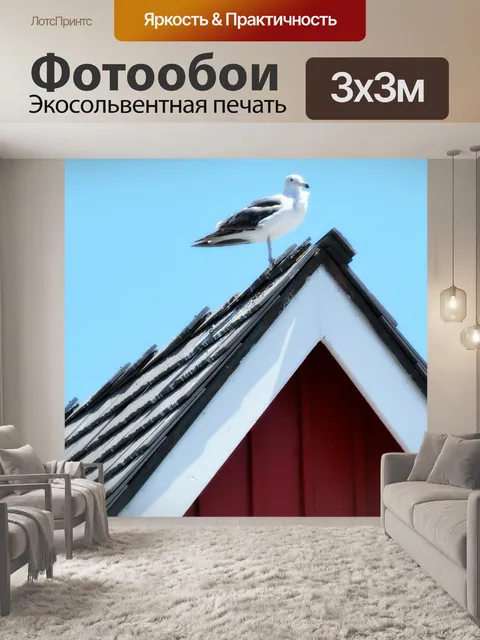 Фотообои Чайка