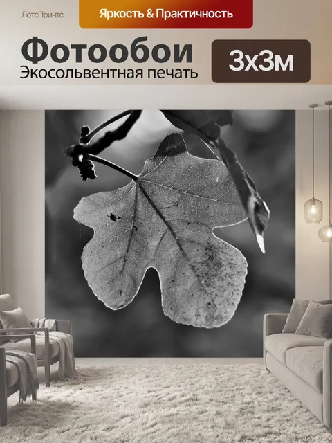 Фотообои Рис листьев дерева в б & W