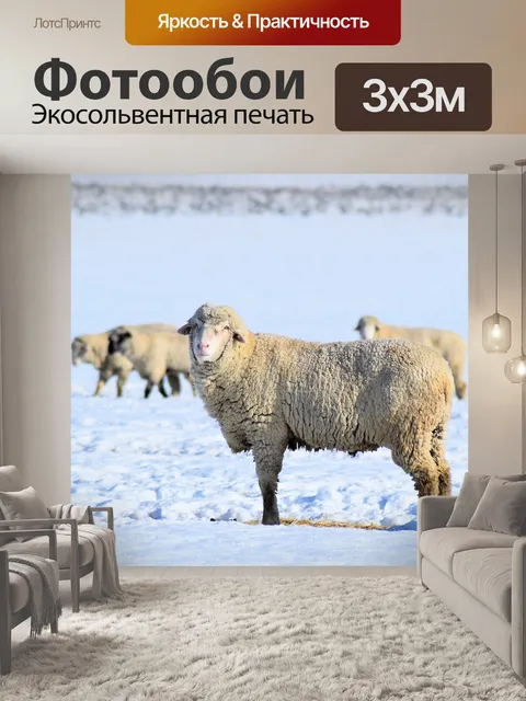 Фотообои Овец