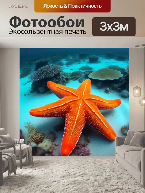 Фотообои яркие морские звезды на дне