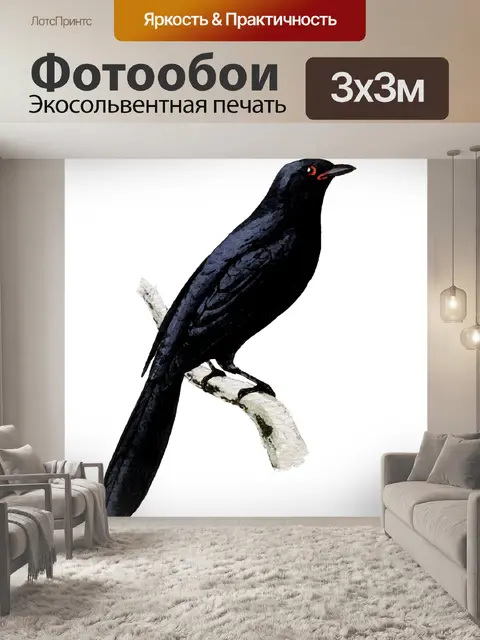 Фотообои Птица Акварельная живопись