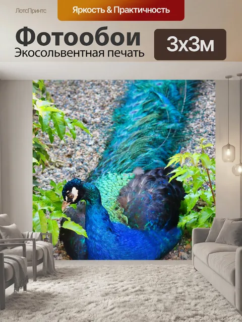 Фотообои Павлин