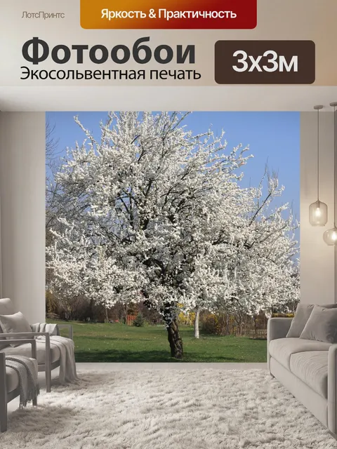 Фотообои Дерево