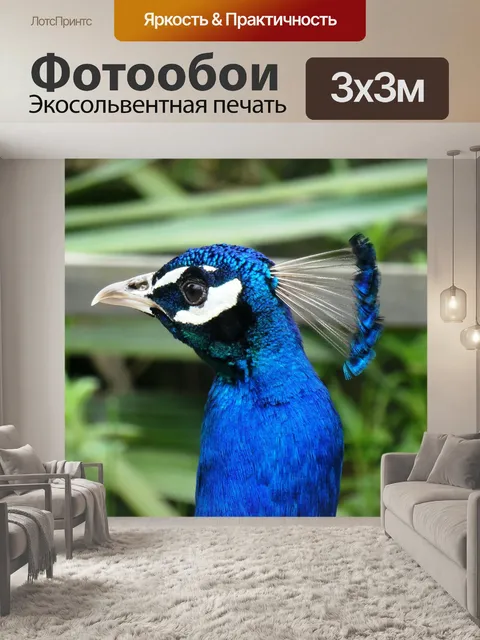 Фотообои Павлин