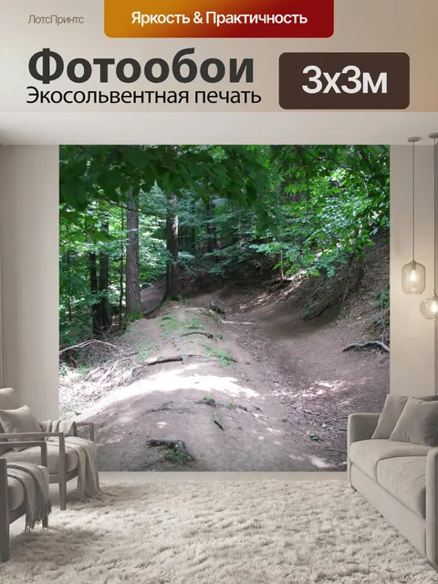 Фотообои Лесная тропинка