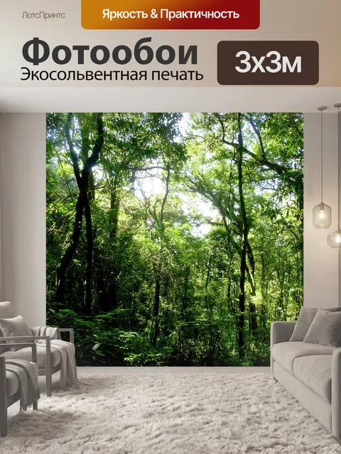 Фотообои Природа тропический лес дои Интанон наци